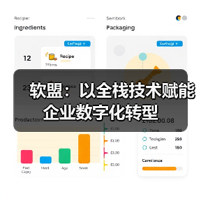 软盟：以全栈技术赋能企业数字化转型