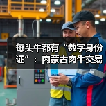 每头牛都有“数字身份证”:内蒙古肉牛交易所的技术革命如何重构万亿产业?(图3) 每头牛都有“数字身份证”:内蒙古肉牛交易所的技术革命如何重构万亿产业?(图3)