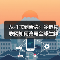 从-1℃到舌尖：冷链物联网如何改写全球生鲜贸易规则？（图3）