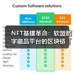 NFT基建革命：软盟数字藏品平台的区块链「智变」方程式