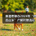贵港市举办2024年“桂品出乡”产销对接活动（图2）