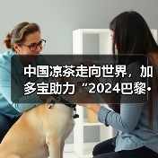 中国凉茶走向世界，加多宝助力“2024巴黎·恭王府服饰秀”弘扬中华文化（图2）