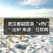 武汉暑期旅游“x热门”出炉 来源:互联网 2025-08-27(图3) 武汉暑期旅游“x热门”出炉 来源:互联网 2025-08-27(图3)