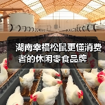 湖南幸福松鼠更懂消费者的休闲零食品牌(图4) 湖南幸福松鼠更懂消费者的休闲零食品牌(图4)