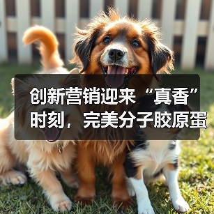 创新营销迎来“真香”时刻，完美分子胶原蛋白肽为何风靡（图3）