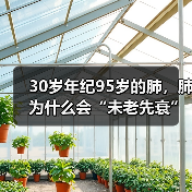 30岁年纪95岁的肺,肺为什么会“未老先衰”? 来源:互联网 2025-08-26(图1) 30岁年纪95岁的肺,肺为什么会“未老先衰”? 来源:互联网 2025-08-26(图1)