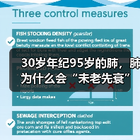 30岁年纪95岁的肺,肺为什么会“未老先衰”? 来源:互联网 2025-08-26(图3) 30岁年纪95岁的肺,肺为什么会“未老先衰”? 来源:互联网 2025-08-26(图3)