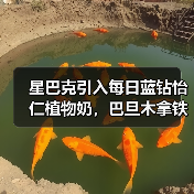星巴克引入每日蓝钻怡仁植物奶,巴旦木拿铁广获好评(图3) 星巴克引入每日蓝钻怡仁植物奶,巴旦木拿铁广获好评(图3)