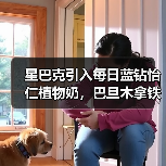 星巴克引入每日蓝钻怡仁植物奶,巴旦木拿铁广获好评(图4) 星巴克引入每日蓝钻怡仁植物奶,巴旦木拿铁广获好评(图4)
