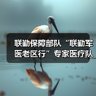 联勤保障部队“联勤军医老区行”专家医疗队走进新川村(图2) 联勤保障部队“联勤军医老区行”专家医疗队走进新川村(图2)