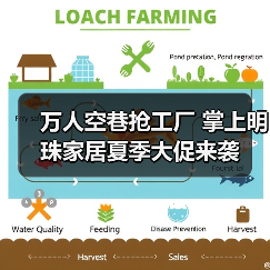 万人空巷抢工厂 掌上明珠家居夏季大促来袭(图1) 万人空巷抢工厂 掌上明珠家居夏季大促来袭(图1)
