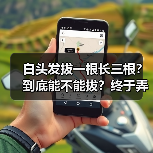 白头发拔一根长三根?到底能不能拔?终于弄清楚了! 来源:互联网 2025-08-25(图1) 白头发拔一根长三根?到底能不能拔?终于弄清楚了! 来源:互联网 2025-08-25(图1)