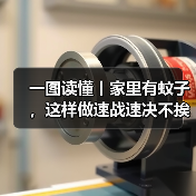 一图读懂丨家里有蚊子，这样做速战速决不挨咬！ 来源：互联网 2025-08-25（图2）