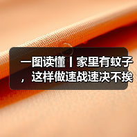 一图读懂丨家里有蚊子，这样做速战速决不挨咬！