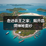 走进茶王之家,揭开品牌神秘面纱(图1) 走进茶王之家,揭开品牌神秘面纱(图1)