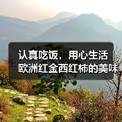 认真吃饭,用心生活|欧洲红金西红柿的美味哲学(图4) 认真吃饭,用心生活|欧洲红金西红柿的美味哲学(图4)