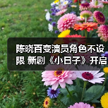 陈晓百变演员角色不设限 新剧《小日子》开启鸡飞狗跳别样生活(图3) 陈晓百变演员角色不设限 新剧《小日子》开启鸡飞狗跳别样生活(图3)