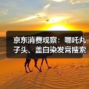 京东消费观察:哪吒丸子头、盖白染发膏搜索量增超10倍,高颅顶、空气刘海受关注(图4) 京东消费观察:哪吒丸子头、盖白染发膏搜索量增超10倍,高颅顶、空气刘海受关注(图4)