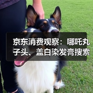 京东消费观察:哪吒丸子头、盖白染发膏搜索量增超10倍,高颅顶、空气刘海受关注(图3) 京东消费观察:哪吒丸子头、盖白染发膏搜索量增超10倍,高颅顶、空气刘海受关注(图3)