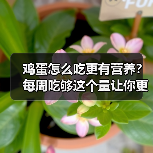 鸡蛋怎么吃更有营养？每周吃够这个量让你更健康 来源：互联网 2025-08-22