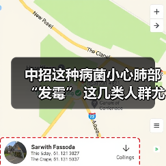 中招这种病菌小心肺部“发霉” 这几类人群尤其要注意 来源:互联网 2025-08-21(图1) 中招这种病菌小心肺部“发霉” 这几类人群尤其要注意 来源:互联网 2025-08-21(图1)