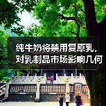 纯牛奶将禁用复原乳,对乳制品市场影响几何? 来源:互联网 2025-08-21(图4) 纯牛奶将禁用复原乳,对乳制品市场影响几何? 来源:互联网 2025-08-21(图4)