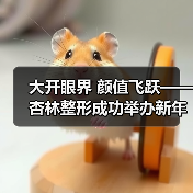 大开眼界 颜值飞跃——杏林整形成功举办新年眼整形公益活动(图1) 大开眼界 颜值飞跃——杏林整形成功举办新年眼整形公益活动(图1)