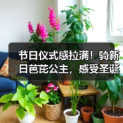 节日仪式感拉满!骑新日芭芘公主,感受圣诞夜的浪漫和激情(图4) 节日仪式感拉满!骑新日芭芘公主,感受圣诞夜的浪漫和激情(图4)