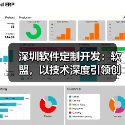 深圳软件定制开发:软盟,以技术深度引领创新未来(图1) 深圳软件定制开发:软盟,以技术深度引领创新未来(图1)