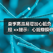 夏季高温易增加心脏负担 xx提示:心脏瓣膜修复要趁早 来源:互联网 2025-08-20(图2) 夏季高温易增加心脏负担 xx提示:心脏瓣膜修复要趁早 来源:互联网 2025-08-20(图2)