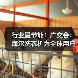 行业最节能！广交会：海尔洗衣机为全球用户提供高差异化产品方案