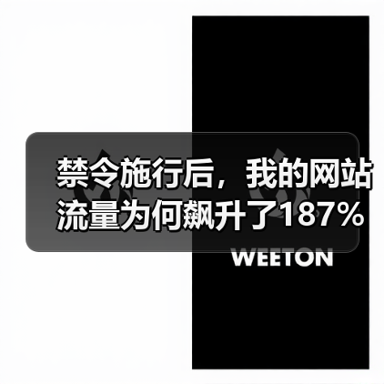 禁令施行后,我的网站流量为何飙升了187%?(图1) 禁令施行后,我的网站流量为何飙升了187%?(图1)