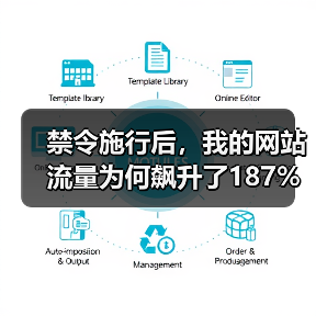 禁令施行后,我的网站流量为何飙升了187%?(图3) 禁令施行后,我的网站流量为何飙升了187%?(图3)