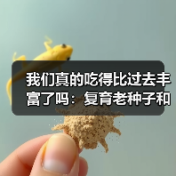 我们真的吃得比过去丰富了吗:复育老种子和挖野菜 来源:互联网 2025-08-20(图4) 我们真的吃得比过去丰富了吗:复育老种子和挖野菜 来源:互联网 2025-08-20(图4)