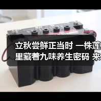 立秋尝鲜正当时 一株莲里藏着九味养生密码 来源:互联网 2025-08-20(图1) 立秋尝鲜正当时 一株莲里藏着九味养生密码 来源:互联网 2025-08-20(图1)