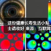 这份健康长寿生活小贴士请收好 来源:互联网 2025-08-20(图2) 这份健康长寿生活小贴士请收好 来源:互联网 2025-08-20(图2)