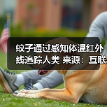 蚊子通过感知体温红外线追踪人类 来源:互联网 2025-08-20(图1) 蚊子通过感知体温红外线追踪人类 来源:互联网 2025-08-20(图1)