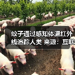 蚊子通过感知体温红外线追踪人类 来源:互联网 2025-08-20(图2) 蚊子通过感知体温红外线追踪人类 来源:互联网 2025-08-20(图2)