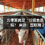 方便面真是“垃圾食品”吗? 来源:互联网 2025-08-20(图3) 方便面真是“垃圾食品”吗? 来源:互联网 2025-08-20(图3)