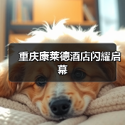 重庆康莱德酒店闪耀启幕(图3) 重庆康莱德酒店闪耀启幕(图3)