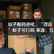 蚊子耐药进化,“改造”蚊子可行吗 来源:互联网 2025-08-19(图2) 蚊子耐药进化,“改造”蚊子可行吗 来源:互联网 2025-08-19(图2)