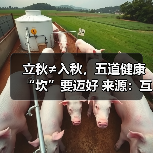 立秋≠入秋,五道健康“坎”要迈好 来源:互联网 2025-08-19(图1) 立秋≠入秋,五道健康“坎”要迈好 来源:互联网 2025-08-19(图1)