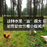 这种水果“油”很大 但能帮助女性瘦小腹减内脏脂肪 来源：互联网 2025-08-19（图2）