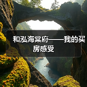 和泓海棠府——我的买房感受(图3) 和泓海棠府——我的买房感受(图3)