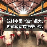 这种水果“油”很大，但能帮助女性瘦小腹、减内脏脂肪？ 来源：互联网 2025-08-18