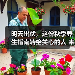 明天出伏,这份秋季养生指南转给关心的人 来源:互联网 2025-08-18(图2) 明天出伏,这份秋季养生指南转给关心的人 来源:互联网 2025-08-18(图2)