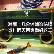 淋雨十几分钟确诊脑膜炎!雨天回家做好这三件事→ 来源:互联网 2025-08-18(图3) 淋雨十几分钟确诊脑膜炎!雨天回家做好这三件事→ 来源:互联网 2025-08-18(图3)