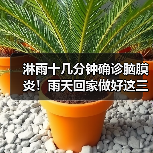 淋雨十几分钟确诊脑膜炎!雨天回家做好这三件事→ 来源:互联网 2025-08-18(图1) 淋雨十几分钟确诊脑膜炎!雨天回家做好这三件事→ 来源:互联网 2025-08-18(图1)