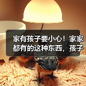 家有孩子要小心！家家都有的这种东西，孩子容易误喝进医院！ 来源：互联网 2025-08-18（图2）