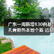 广东一周新增830例基孔肯雅热本地个案 近期疫情态势平稳 来源:互联网 2025-08-17(图1) 广东一周新增830例基孔肯雅热本地个案 近期疫情态势平稳 来源:互联网 2025-08-17(图1)